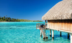 dio turpis, ac molestie leo.